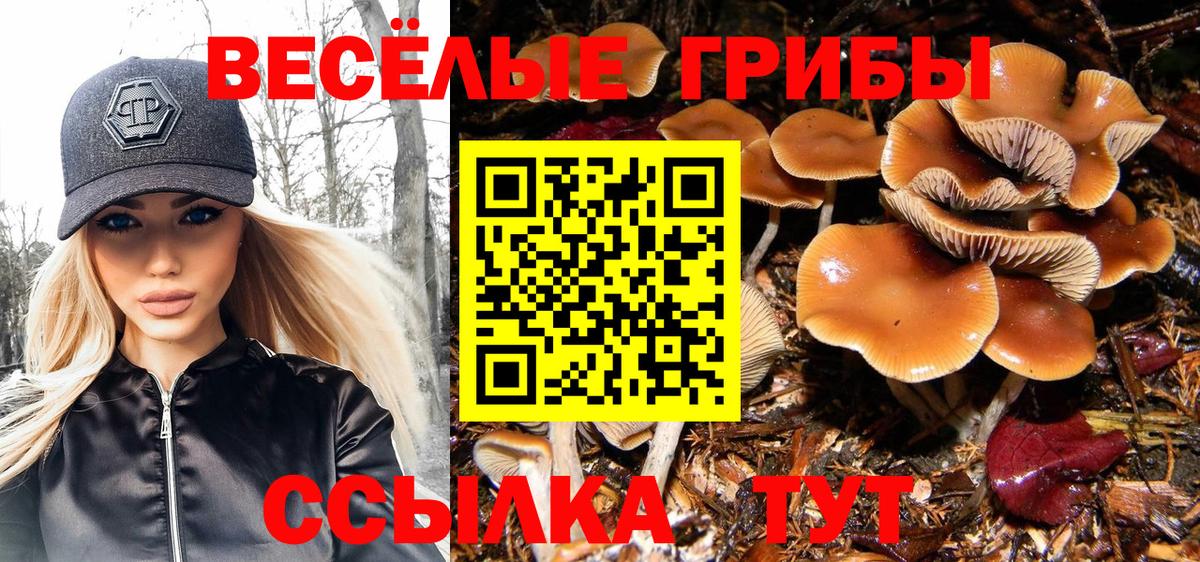 Псилоцибиновые грибы ЛСД  Вход с VPN  Галлюциногенные грибы мицелий  Бутурлиновка 